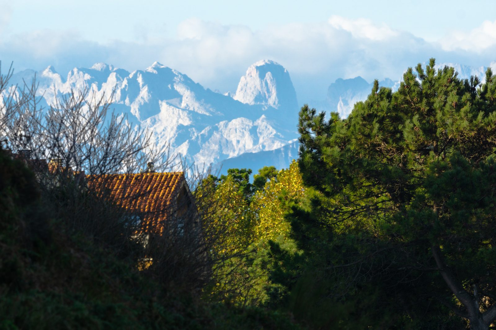 Beneath jagged peaks capped in snow, home rests quietly among green trees—a reminder that love, too, finds shelter in life's rugged, beautiful corners.
