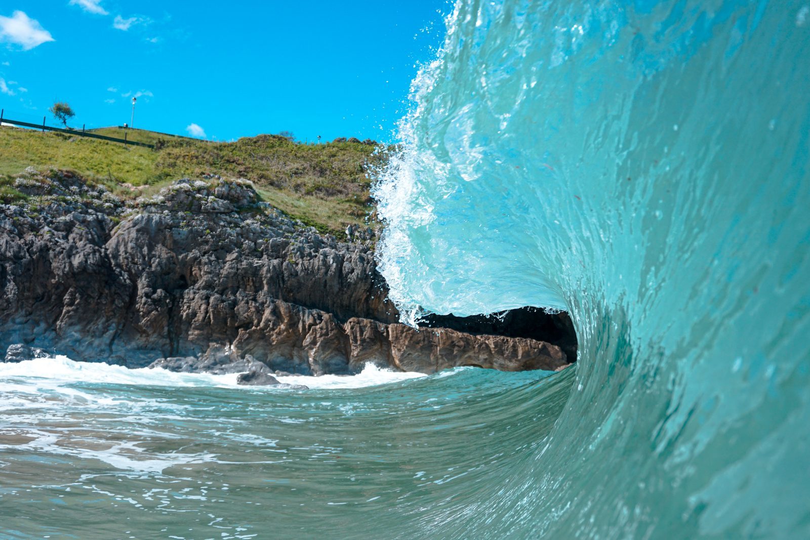 Nature curls itself into a gentle embrace, reminding us that even the wildest forces can hold something tenderly, perfectly, just for a moment.