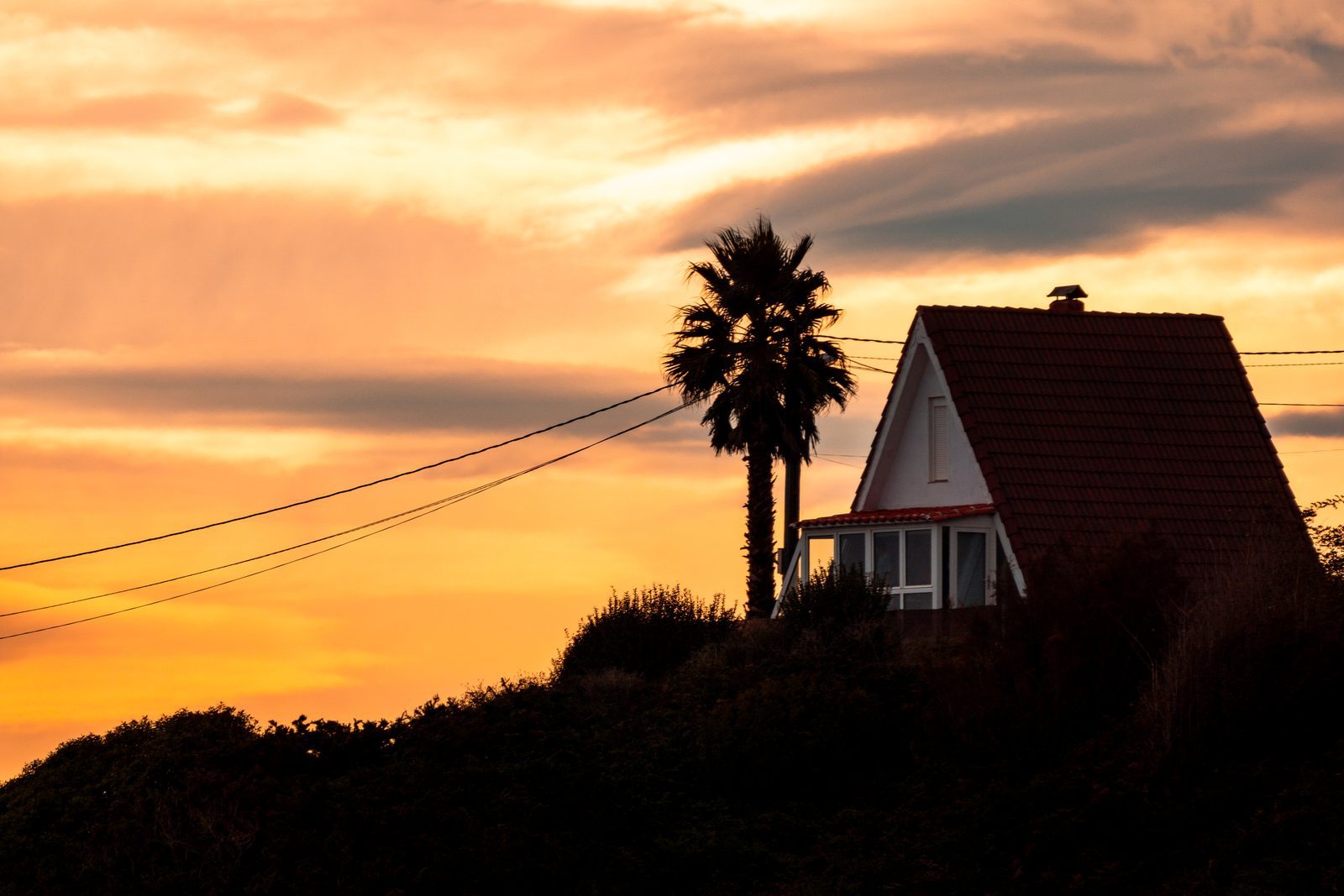 Home is where the sky sets fire to the clouds, and a single palm stands sentry over the warmth waiting inside.