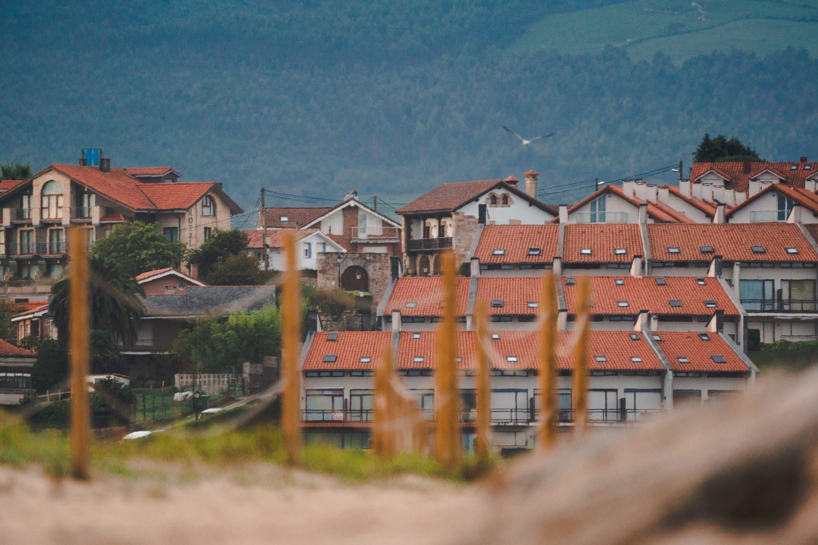 A single gull drifts above the red rooftops, and even from a distance, this quiet village feels like home—a place someone is always returning to.