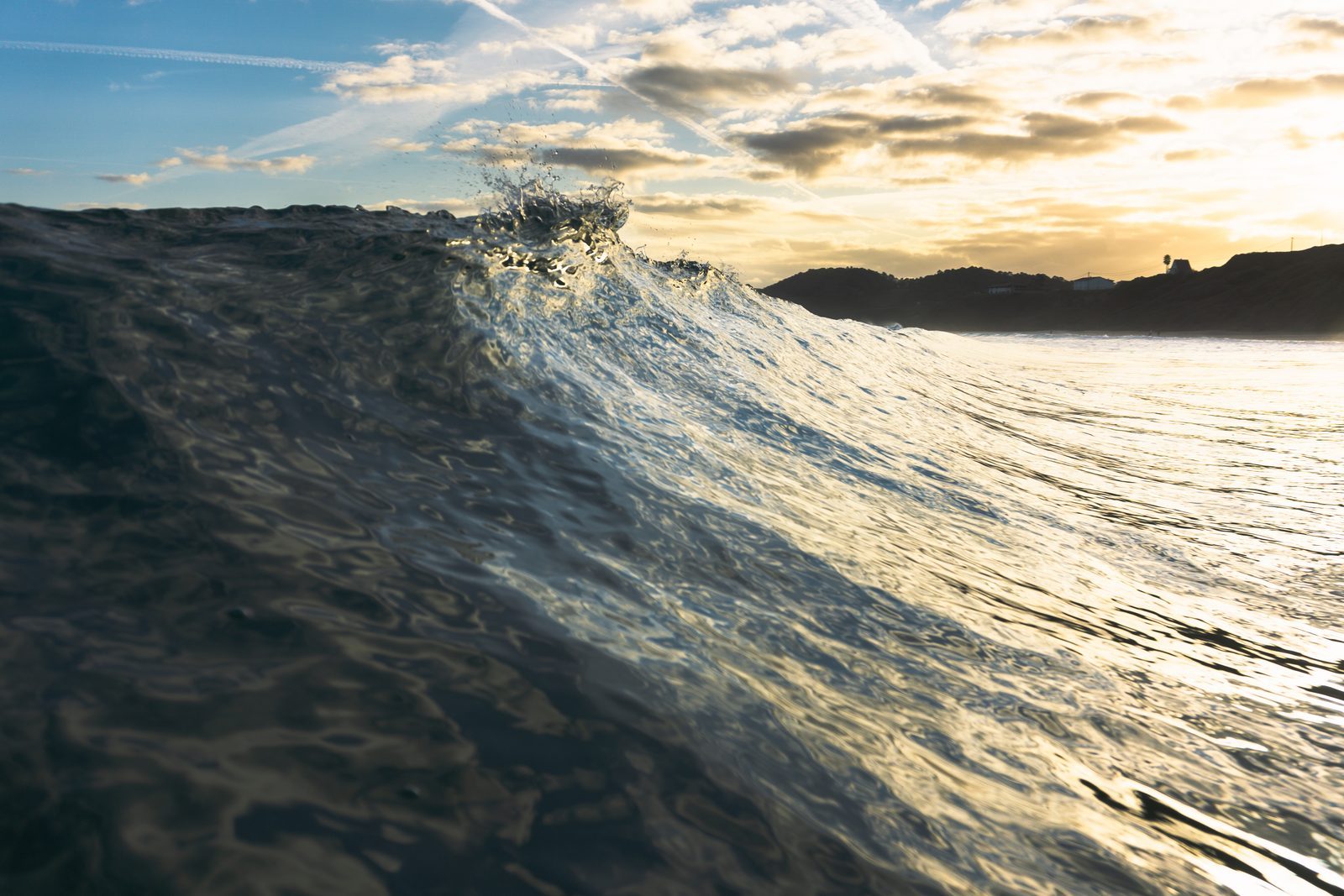 Like the ocean cresting toward golden light, love rises within us—wild and tender—reaching always toward the warmth that calls it home.