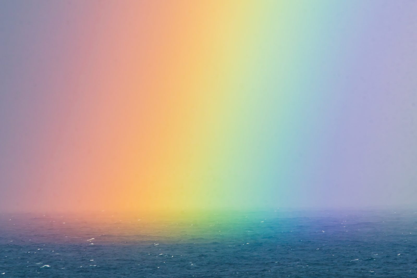 Even the sea pauses to be wrapped in color, reminding us that love often arrives softly, spreading light where we least expect it.