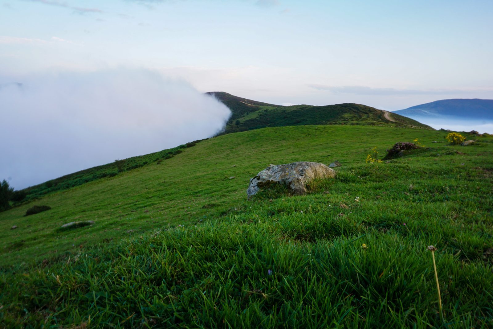 Like a gentle hand drawing a veil aside, the mist retreats to reveal the quiet green heart of the hills, patient and unhurried.