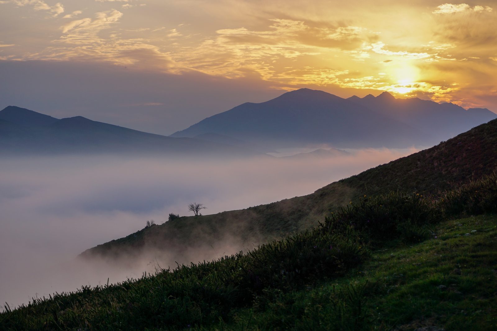 As the sun rises above the mist-veiled peaks, one lone tree stands steady on the ridge—a quiet reminder that even in solitude, we are never truly alone.