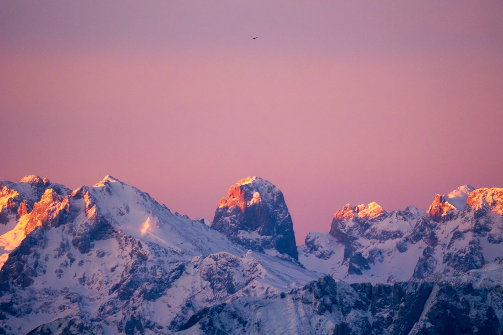 As alpenglow kisses each snowy peak in soft gold, the mountains stand together—proof that even the sturdiest hearts soften in the right light.